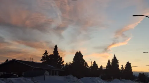 Outline of a treeline against a sunset