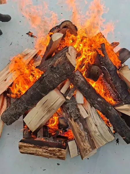 Logs burning with bright orange flames on a light surface.