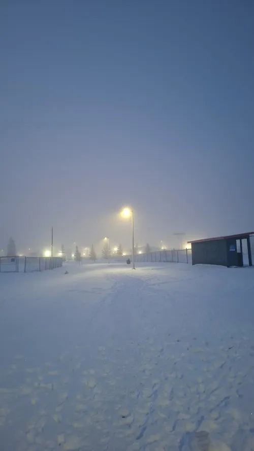 Snowy landscape with streetlights illuminating foggy surroundings.