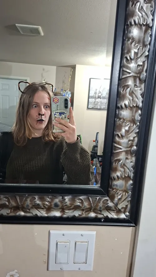Person in a mirror selfie wearing a brown sweater, cat make-up and costume, ornate mirror frame.