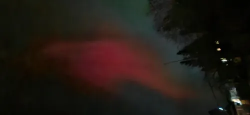 Red aurora lights in night sky above silhouetted trees.