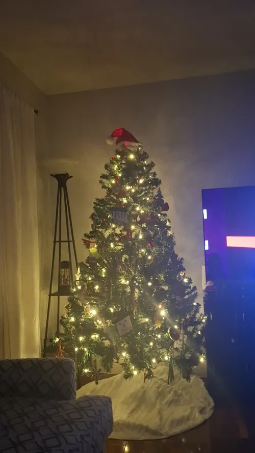 Christmas tree with lights and a red Santa hat on top.