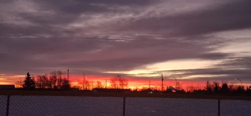 Sunset with vibrant pink and purple clouds over silhouetted trees and fence.