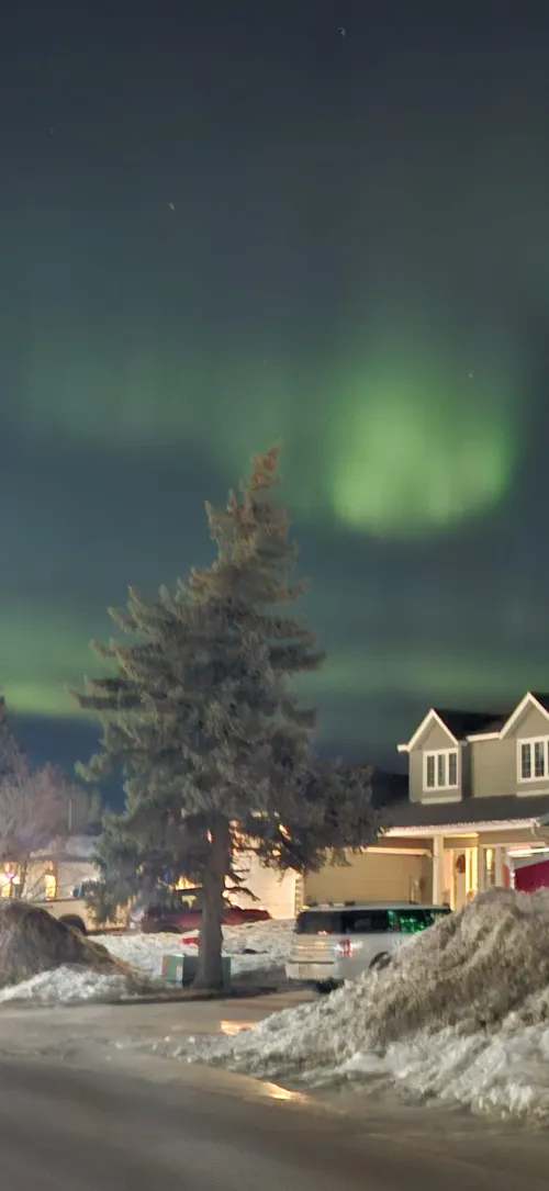 Northern lights over snowy suburban street at night.