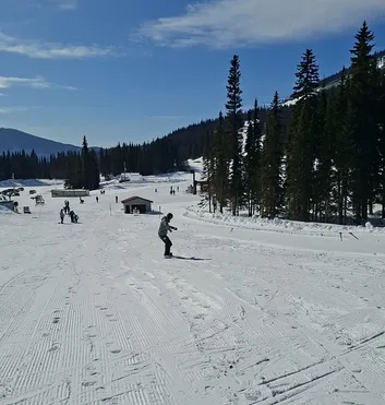 Snowboarder on snowy slope with pine trees and cabins in the background.